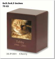 30-P-011-CherryX